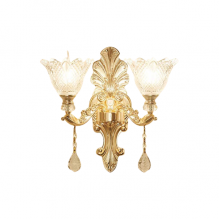 Modern Style Floral 2 Light Wall Mount Lamp